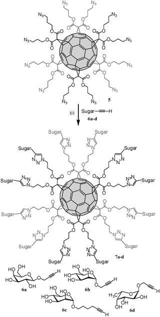 sladky-fulleren02